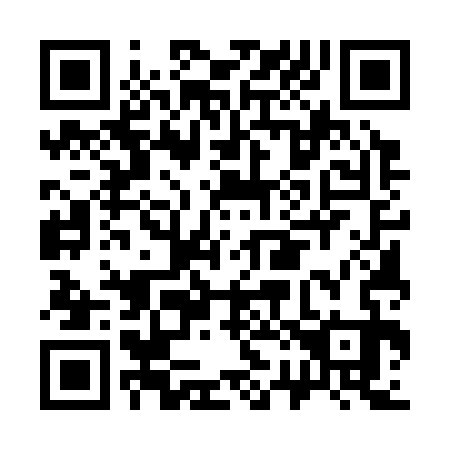 QR code for C25333