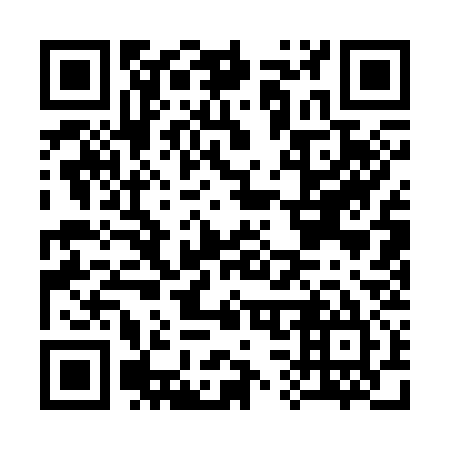 QR code for C31335