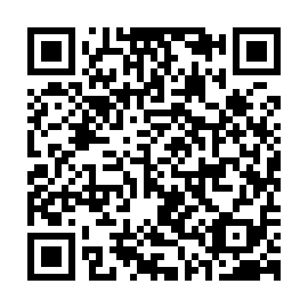 QR code for C49919