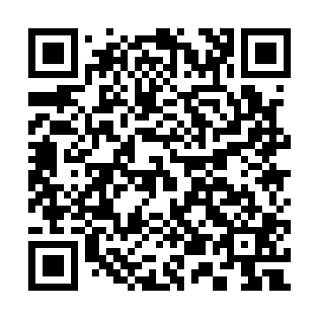 QR code for C51101