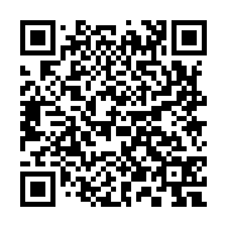QR code for C51934