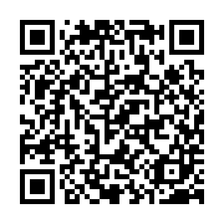 QR code for C55383