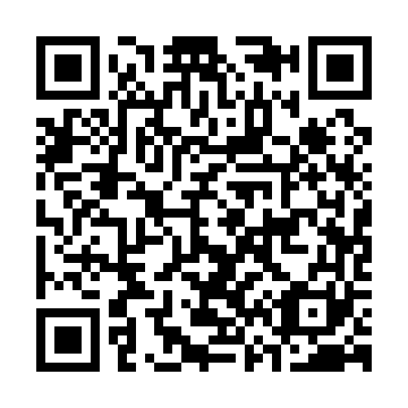 QR code for C61161
