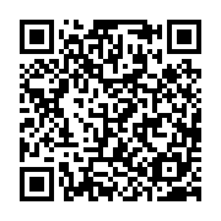 QR code for C80255