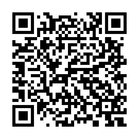 QR code for C83513