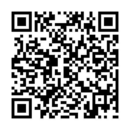 QR code for C83738