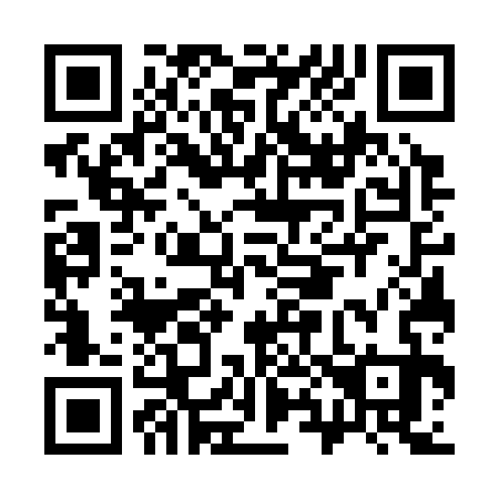 QR code for C87333
