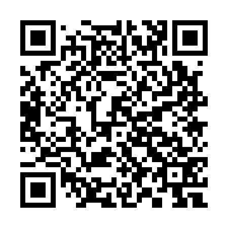 QR code for C91173