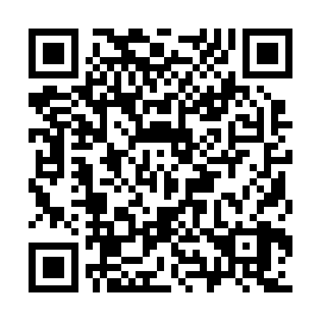 QR code for C91228