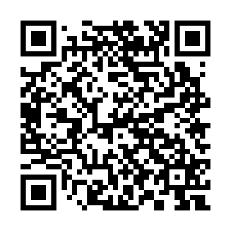 QR code for C95325