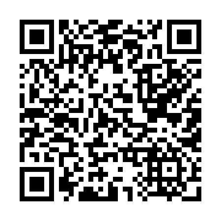 QR code for C95397