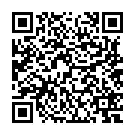 QR code for plate CAR-8295