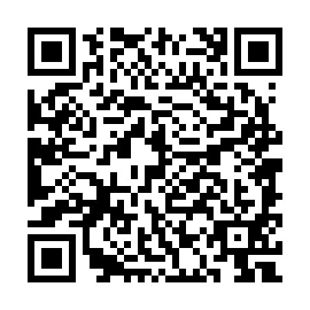 QR code for CAT-2911