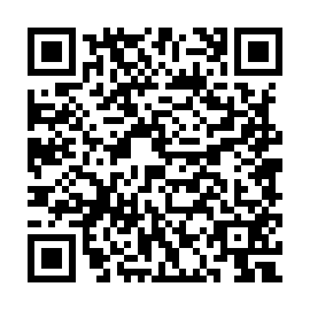 QR code for CAT9529