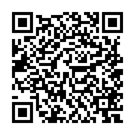 QR code for CDG9493