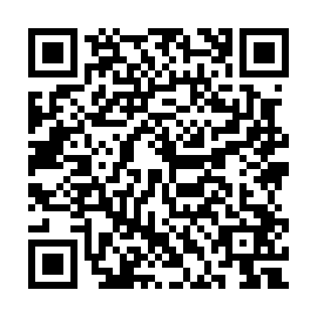 QR code for CDI-0425