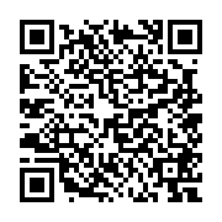 QR code for plate CFG-0480