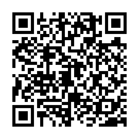 QR code for plate CHG-6391