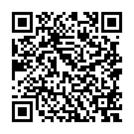 QR code for CHI0881
