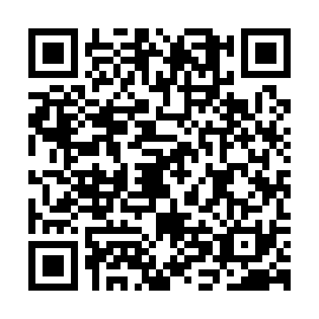 QR code for CHI1318