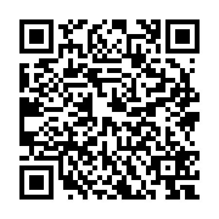 QR code for CHI2290