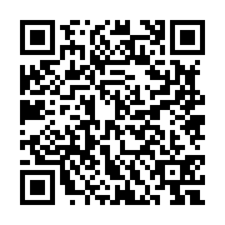 QR code for plate CHJ-8317