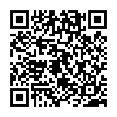 QR code for CHO-4378