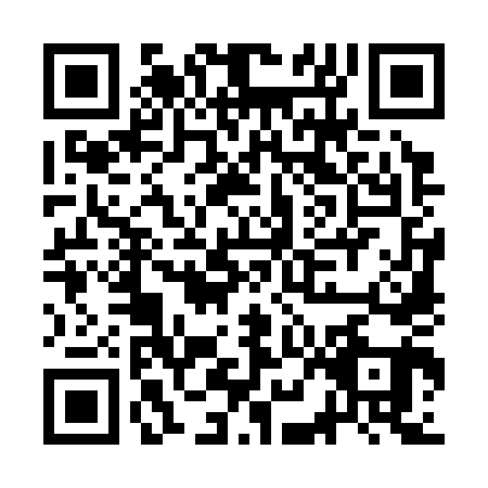 QR code for CHO3413