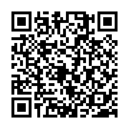 QR code for plate CIG-0383