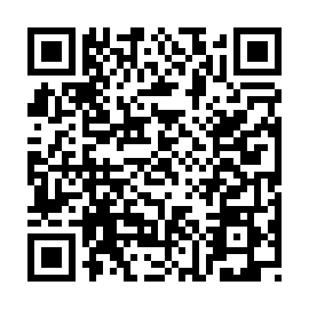 QR code for CME0489