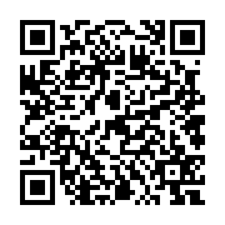 QR code for CTF-0371