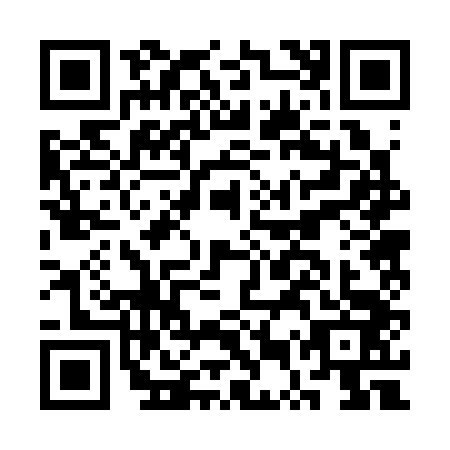 QR code for CUR-3433