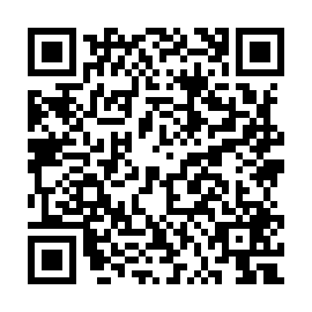 QR code for CVI9493