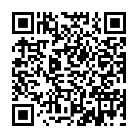 QR code for plate CYX-7132