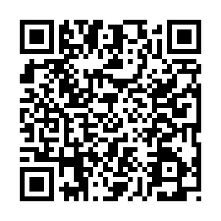 QR code for CYY-4355