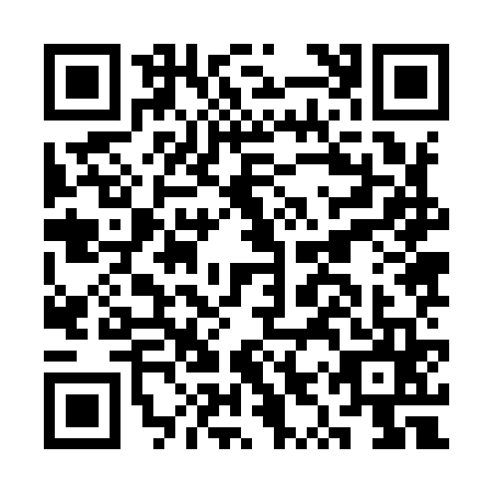 QR code for CYZ9653