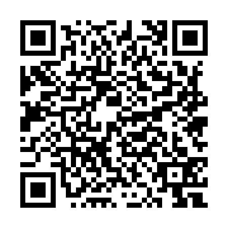 QR code for plate CZE-9333