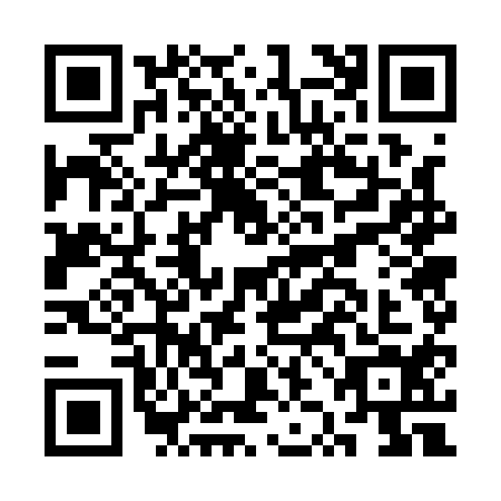 QR code for CZG-1141