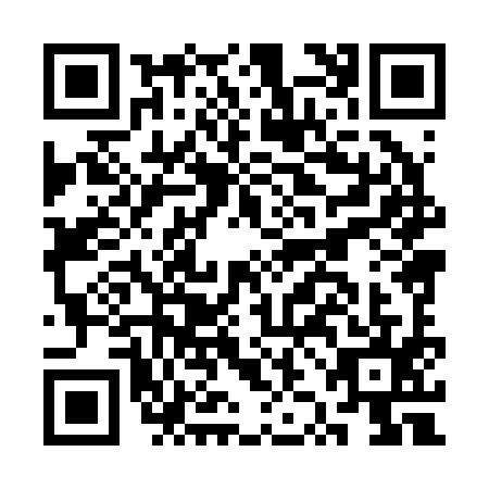 QR code for CZH-2956