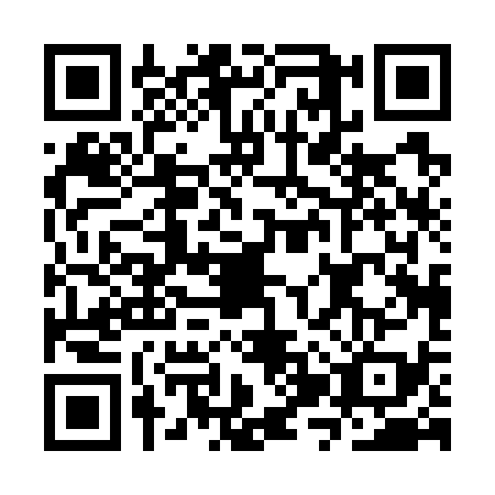 QR code for plate CZP-7393
