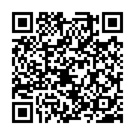 QR code for plate CZZ-7385