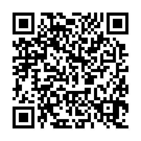 QR code for D06384