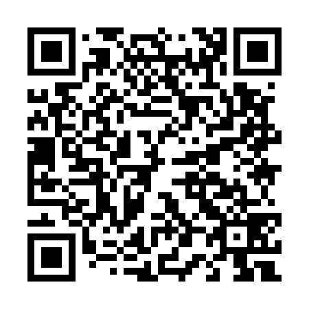 QR code for D09579