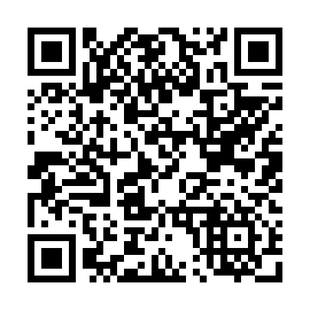 QR code for D09617