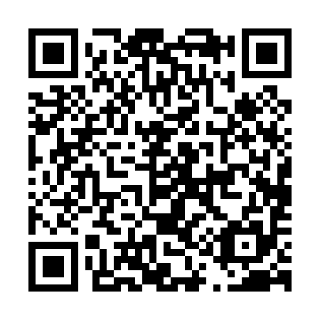 QR code for D10095