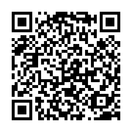 QR code for D11038