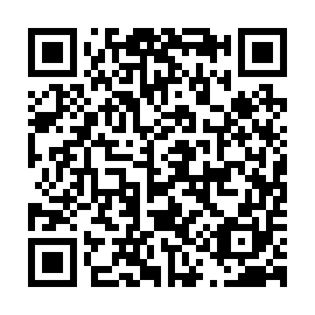QR code for D11250