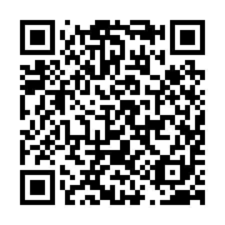 QR code for D11291