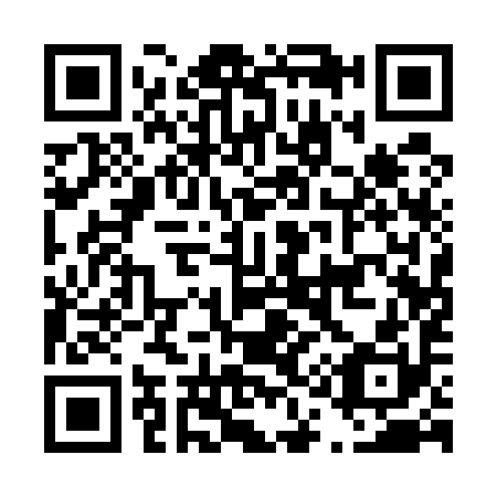 QR code for D11590