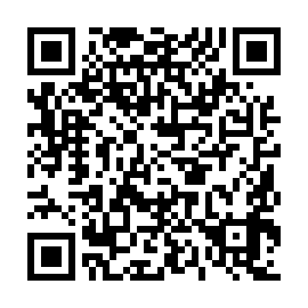 QR code for D11599